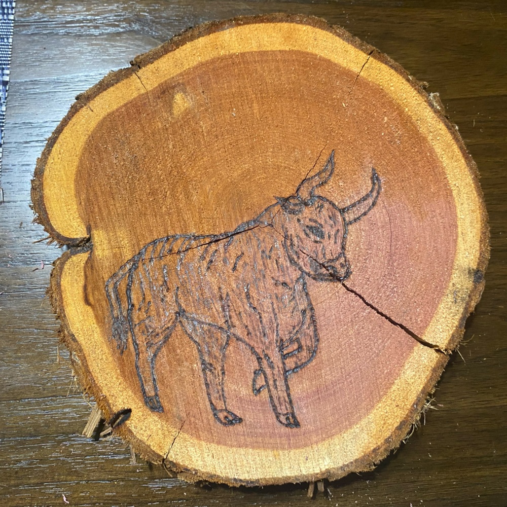 Bull natural wood art burning